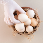 Fresh Table Eggs - Image 3
