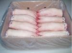 Frozen Pork Front Feet - Image 4