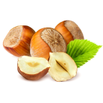 Hazelnut - Image 2