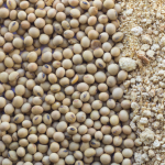 Soybeans Meal - Image 2