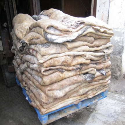 Wet Salted Cow Hides