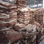 Wet Salted Cow Hides - Image 2