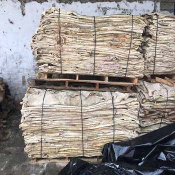 Wet-Salted-Camel-Hides Wet Salted Camel Hides - Image 1